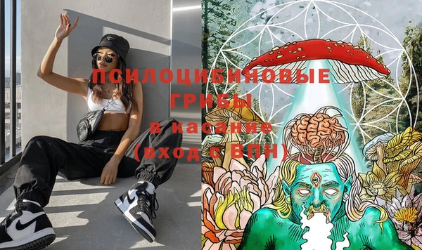MESCALINE Вяземский
