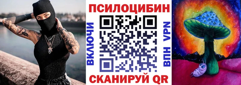 OMG как зайти  Бикин  Псилоцибиновые грибы Psilocybine cubensis 